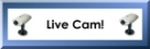 The CrazyPixels LiveCam